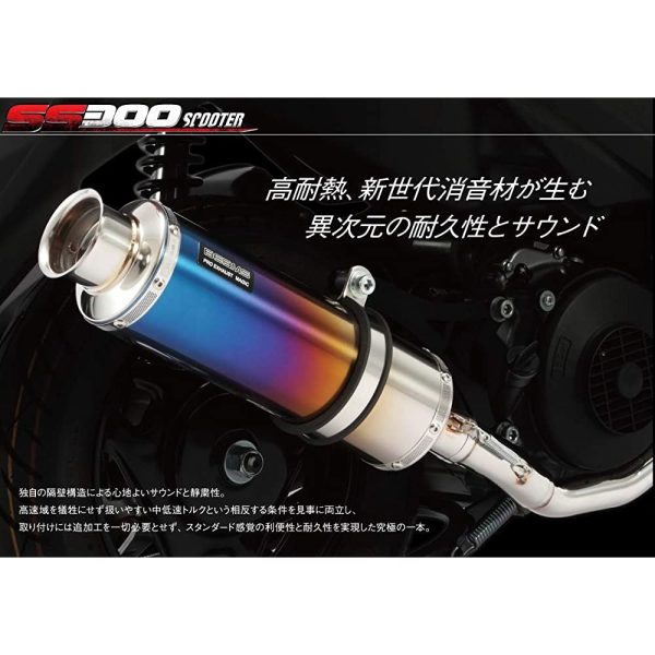 BEAMS (BEAMS) Full exhaust muffler muffler SS300 carbon B227-08-000 Online Sale - Image 2