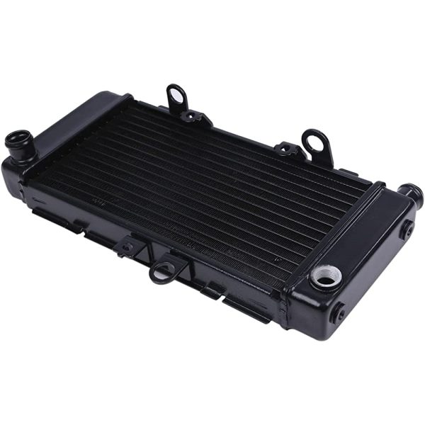 Hornet for HONDA 250 MC31 Radiator HORNET250 Radiator body Honda bike motorcycle external goods For Cheap - Image 3